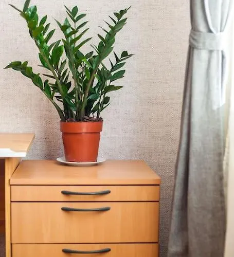 V 13 - 3 Bdr Balcony, Views - Courtyard N Vokieciu Appartement *