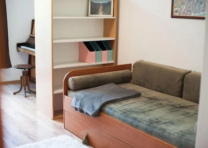 V 13 - 3 Bdr Balcony, Views - Courtyard N Vokieciu Apartment Vilnius